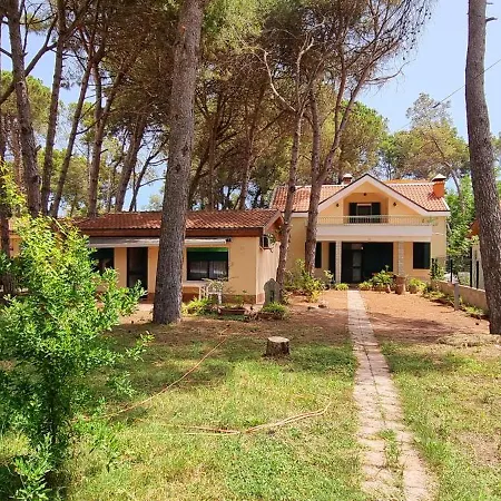 Bezhani Standard Villa