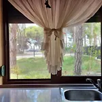 Bezhani Standard Villa *